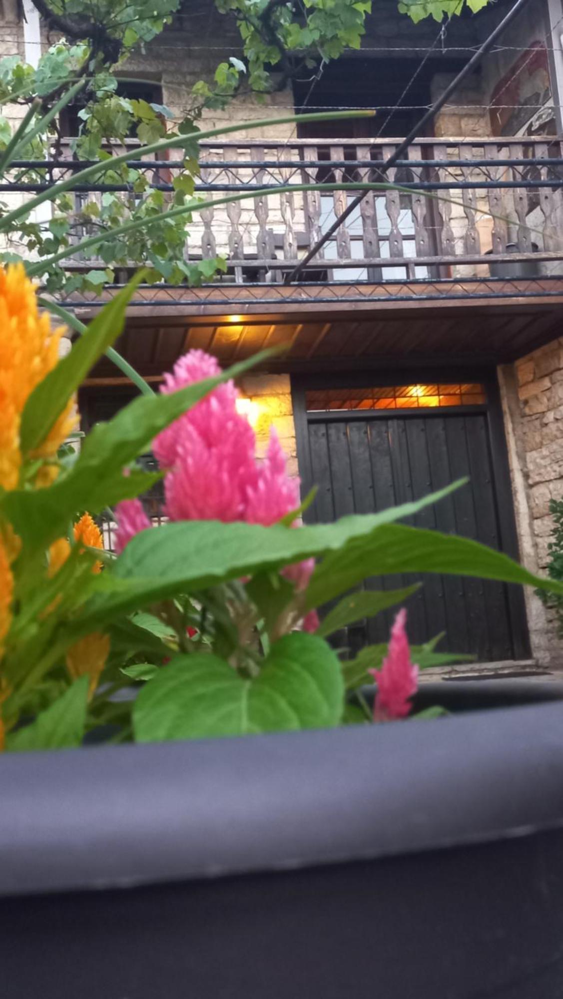 ויצה Guesthouse Selini מראה חיצוני תמונה