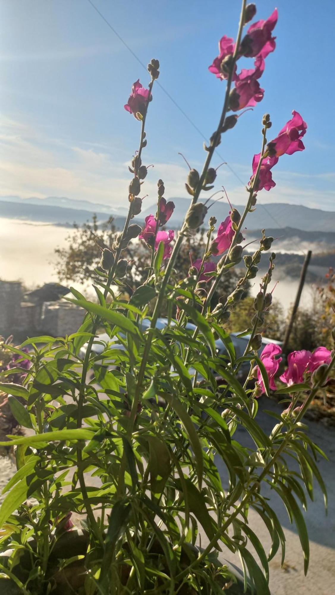 ויצה Guesthouse Selini מראה חיצוני תמונה