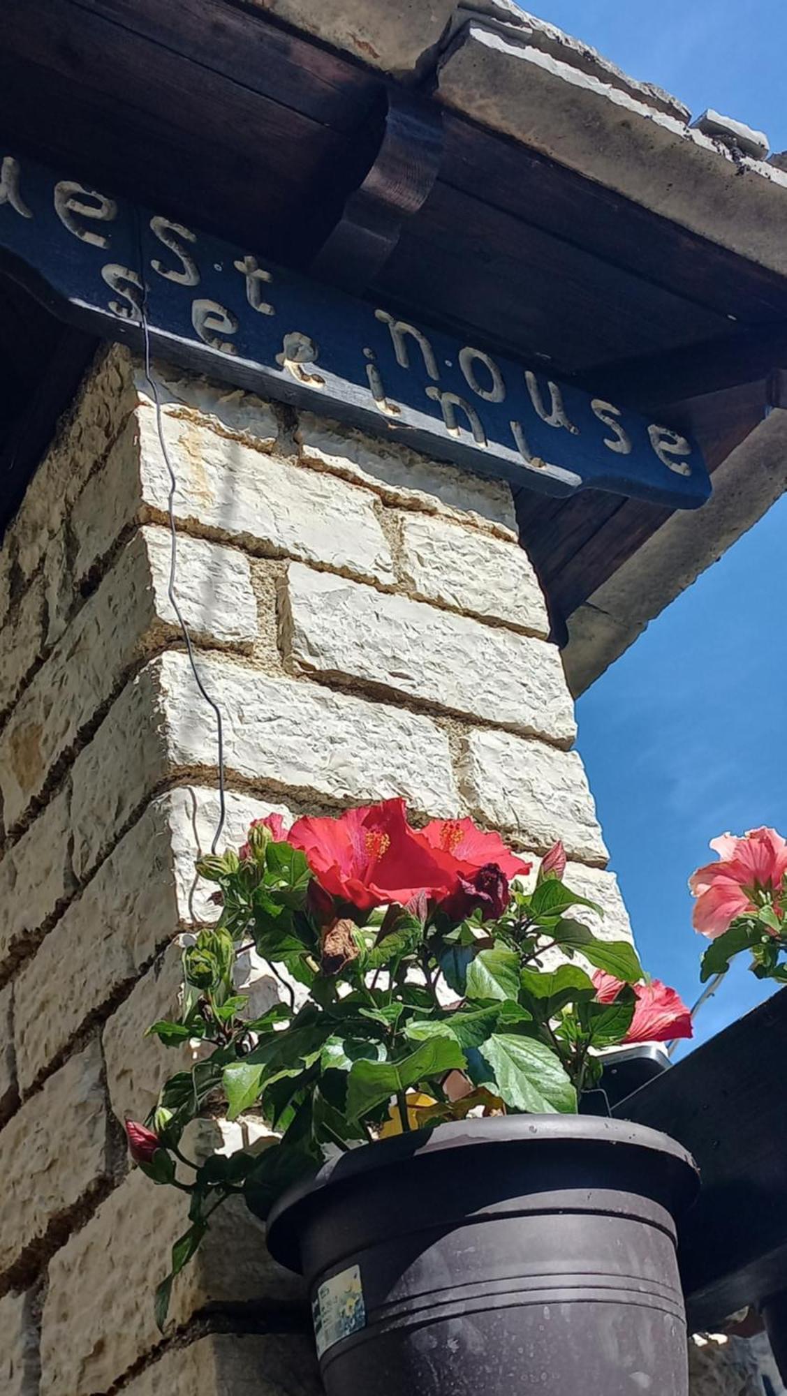ויצה Guesthouse Selini מראה חיצוני תמונה