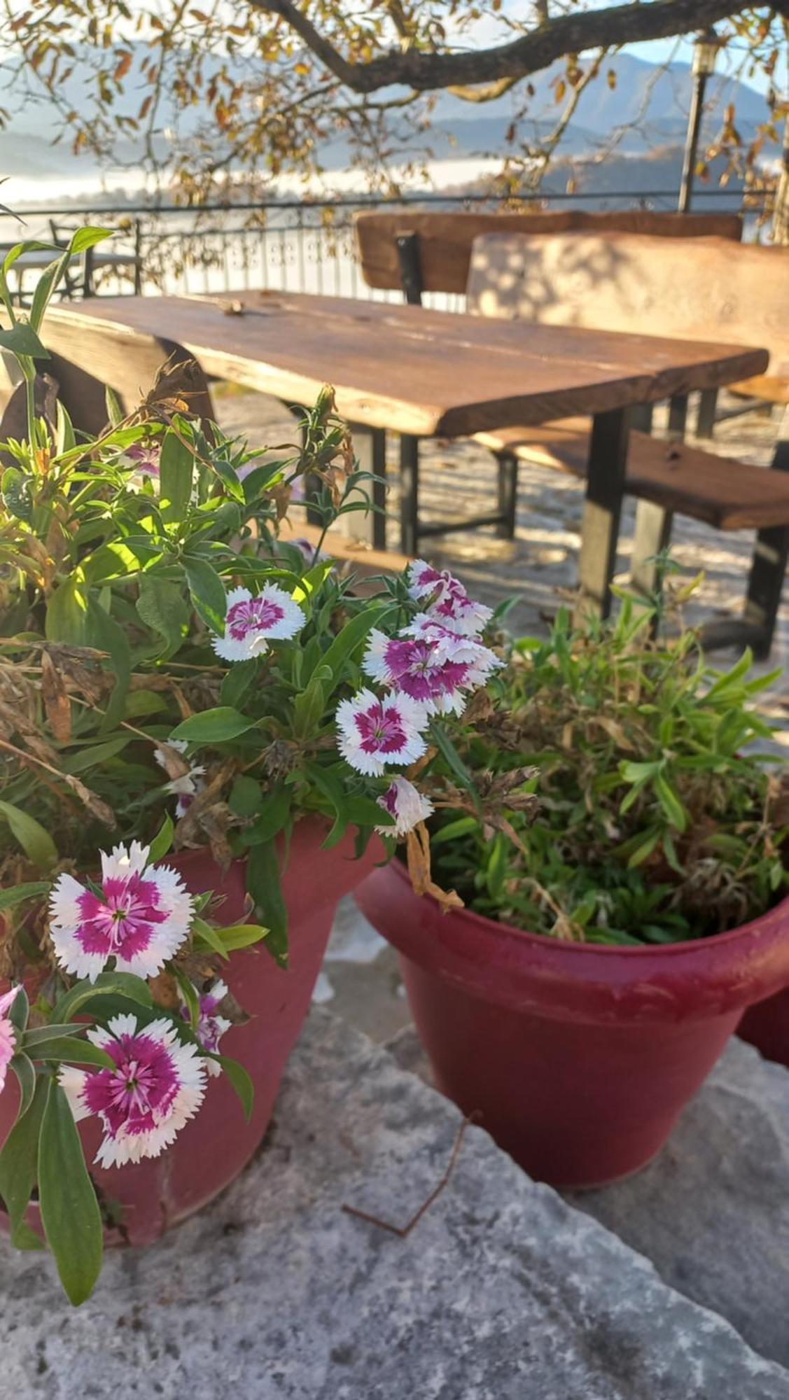 ויצה Guesthouse Selini מראה חיצוני תמונה